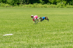 20240526-untitled-920