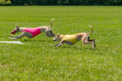 20240526-untitled-922