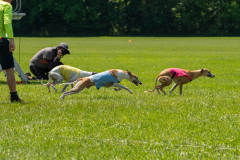 20240526-untitled-930