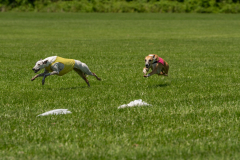 20240526-untitled-935