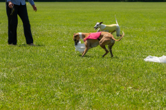 20240526-untitled-944