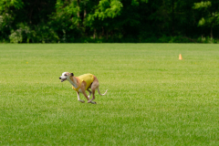 20240526-MemDayWknd-146