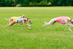 20240526-MemDayWknd-152