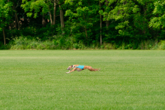 20240526-MemDayWknd-157