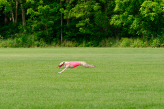 20240526-MemDayWknd-173