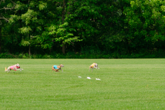 20240526-MemDayWknd-174