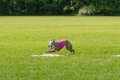 20240526-untitled-327