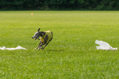 20240526-untitled-328