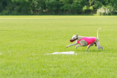 20240526-untitled-333