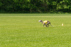 20240526-untitled-338