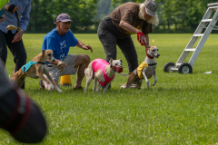 20240526-untitled-343