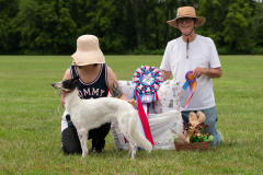 24MDIHCSighthoundSpree368