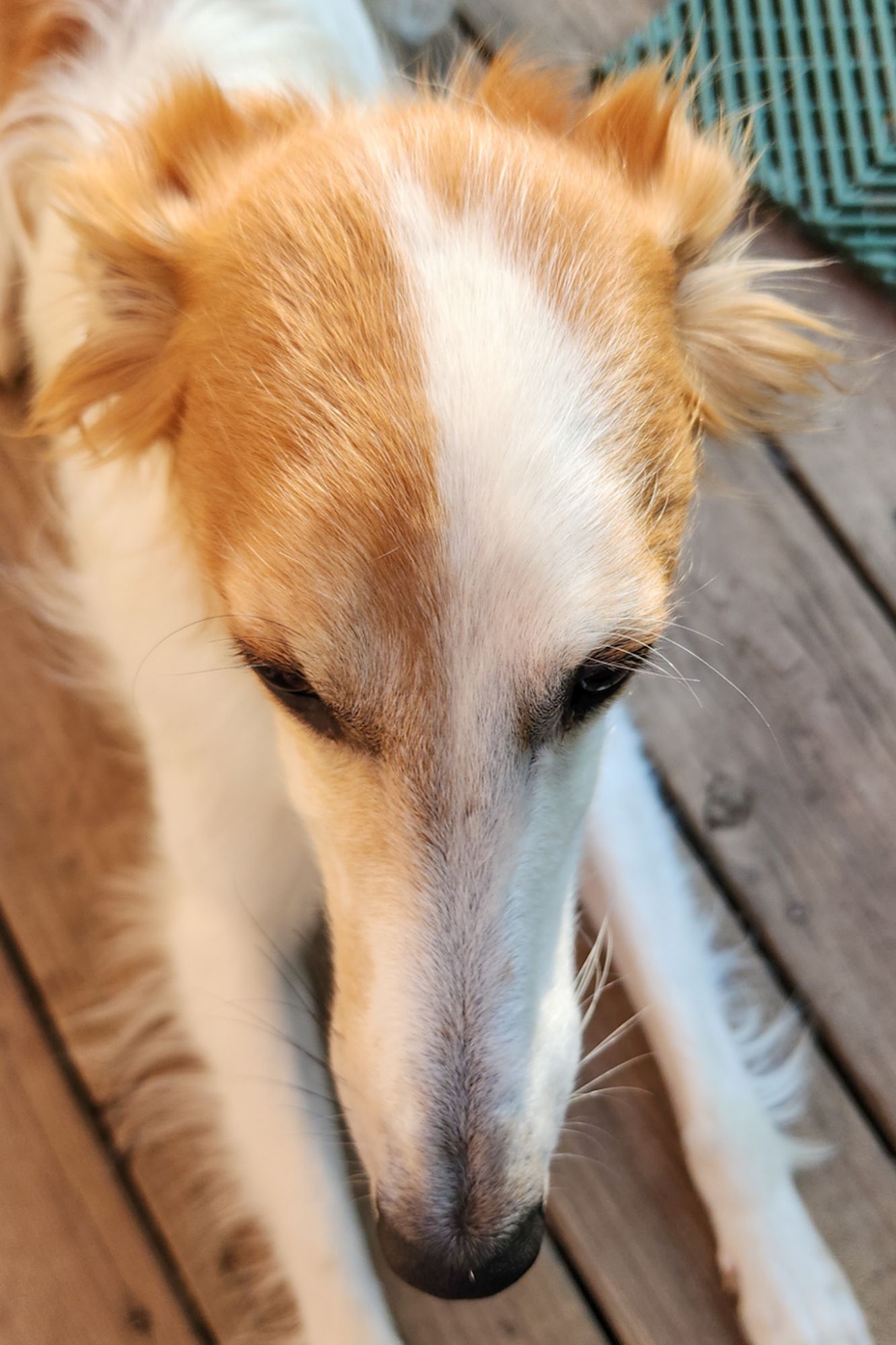 Face from directly above