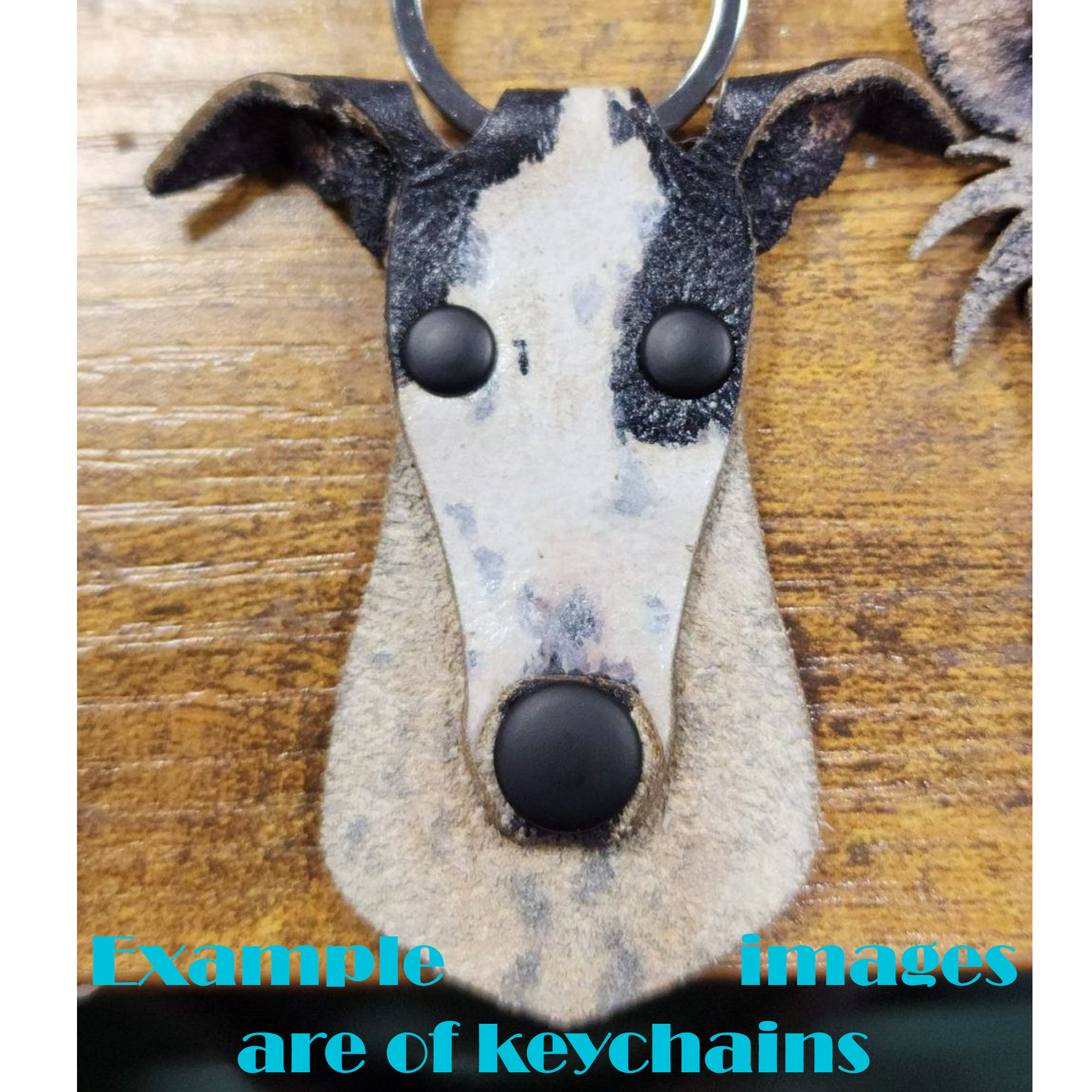 Custom Greyhound/Whippet Number Holder