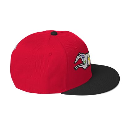 Wildflower Windhound Wool Blend Snapback Hat - Image 50