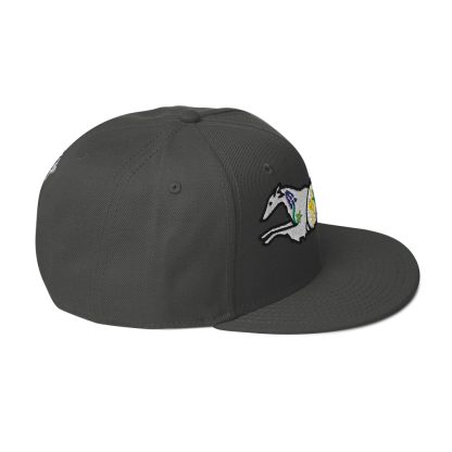 Wildflower Windhound Wool Blend Snapback Hat - Image 62