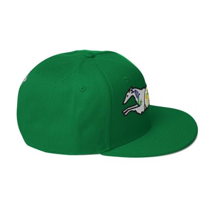 Wildflower Windhound Wool Blend Snapback Hat - Image 66