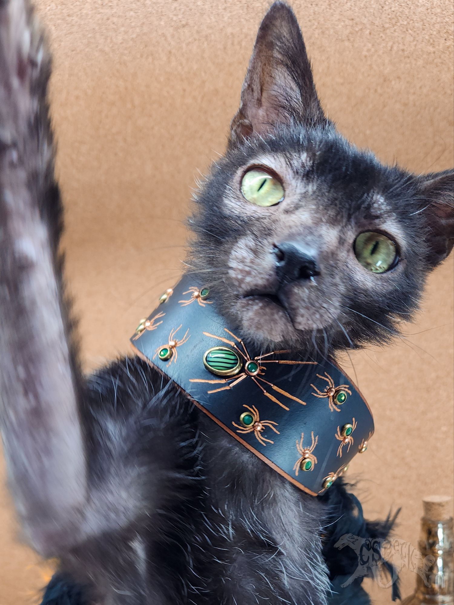 "Arachnophobia" Collar ~13 1/4" - Image 6