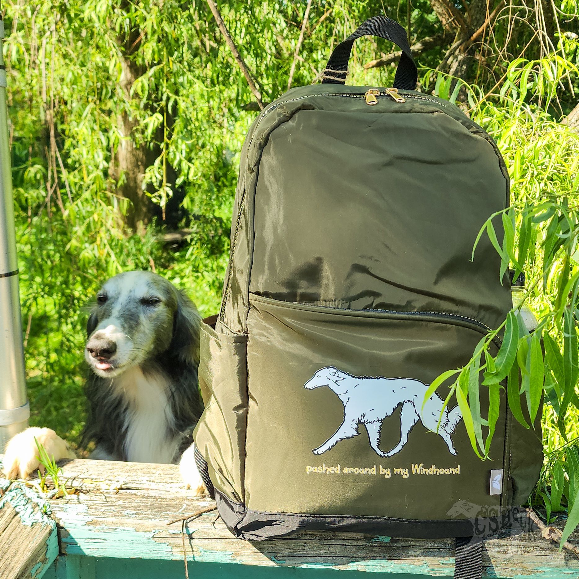 Pushed around by my Windhound Kora Dual Pocket 15″ Laptop Backpack